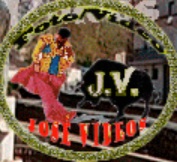 Icono Jose Videos
