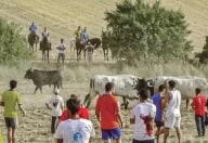 Actividades de verano