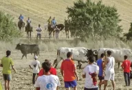 Escena popular de las Fiestas de Verano de Tórtola de Henares