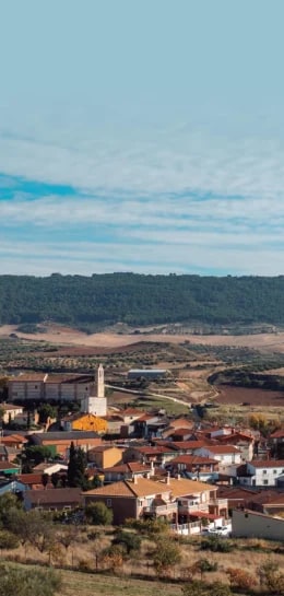 Vista panorámica de Tórtola de Henares