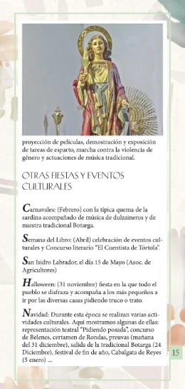 Imagen de la patrona
